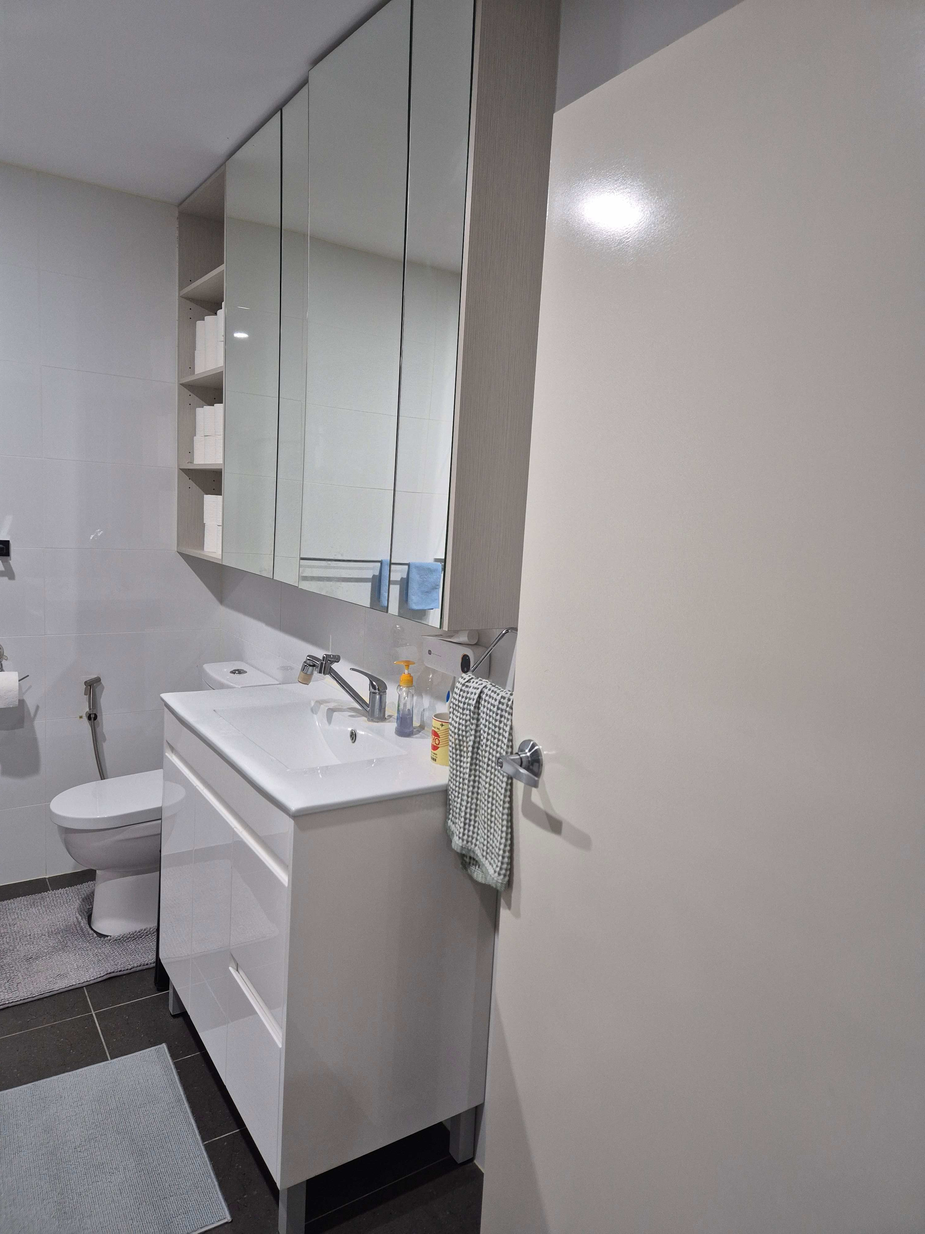 sink-and-cabinet-mirrors.jpg